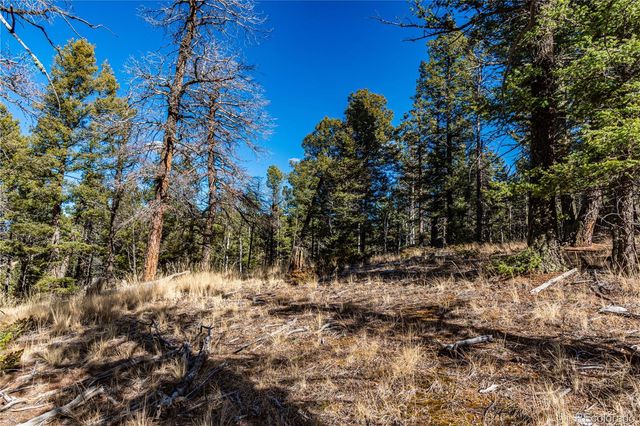 0 Arrowhead Road, Florissant, CO 80816