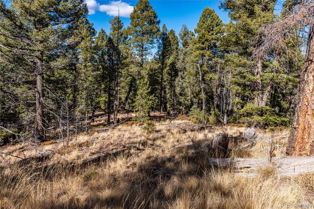 0 Arrowhead Road, Florissant, CO 80816