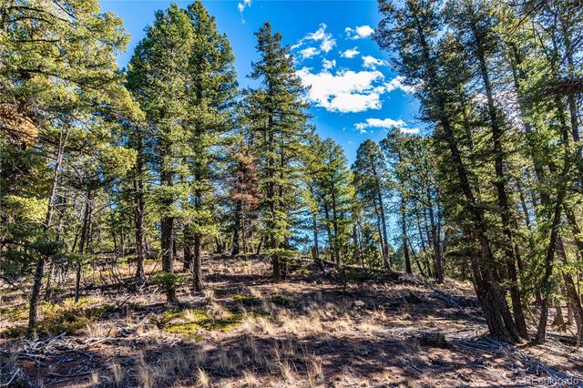 0 Arrowhead Road, Florissant, CO 80816