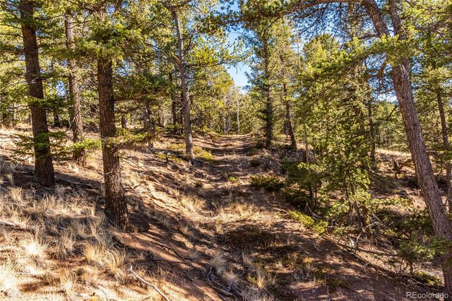 0 Arrowhead Road, Florissant, CO 80816