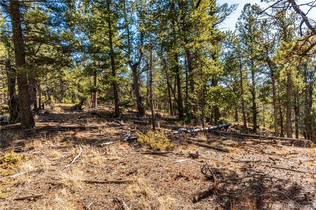 0 Arrowhead Road, Florissant, CO 80816