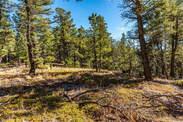 0 Arrowhead Road, Florissant, CO 80816