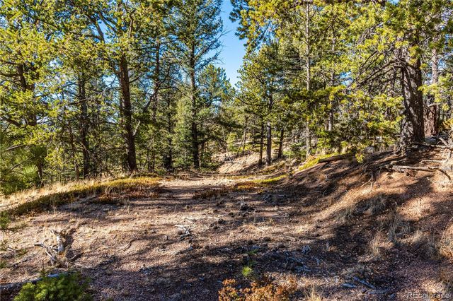 0 Arrowhead Road, Florissant, CO 80816