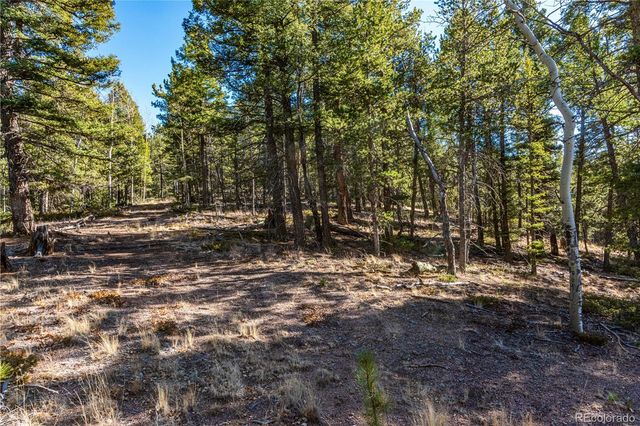 0 Arrowhead Road, Florissant, CO 80816