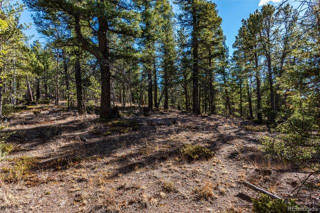 0 Arrowhead Road, Florissant, CO 80816