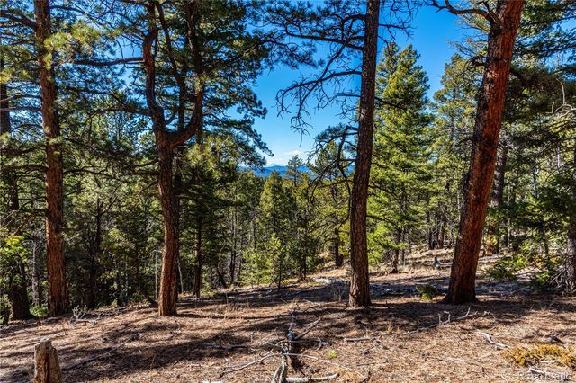 0 Arrowhead Road, Florissant, CO 80816