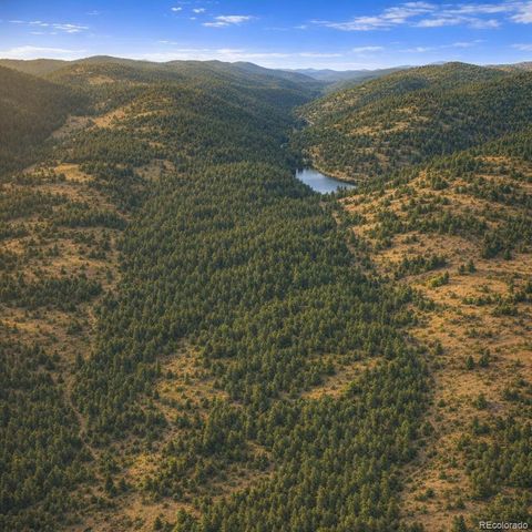0 Arrowhead Road, Florissant, CO 80816