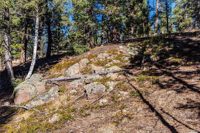 0 Arrowhead Road, Florissant, CO 80816