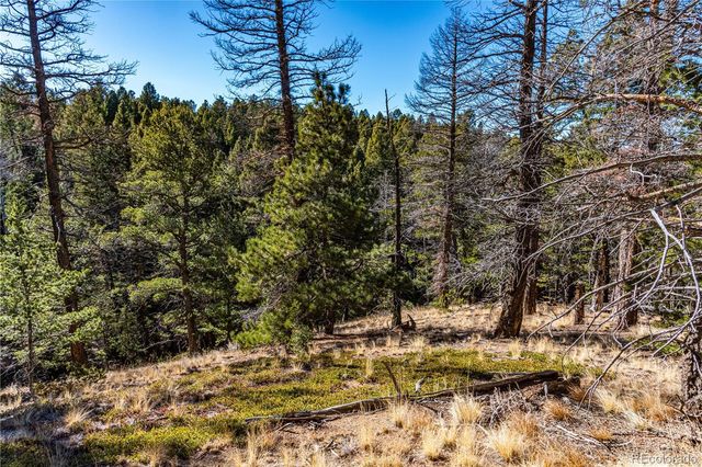 0 Arrowhead Road, Florissant, CO 80816
