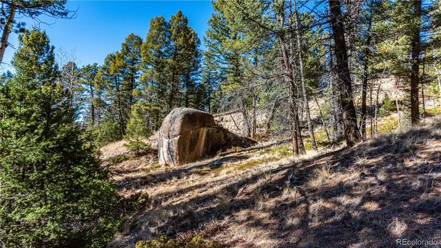 0 Arrowhead Road, Florissant, CO 80816