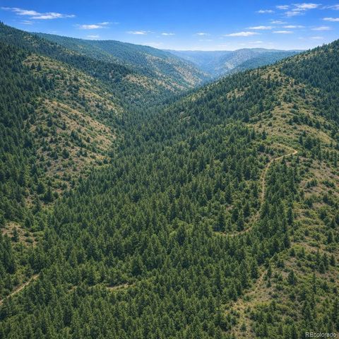 0 Arrowhead Road, Florissant, CO 80816