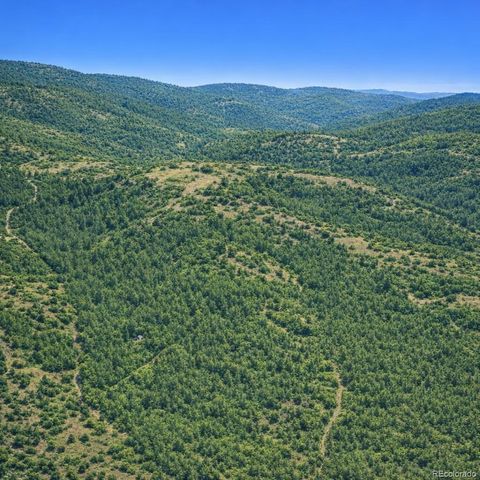 0 Arrowhead Road, Florissant, CO 80816