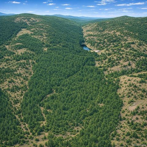 0 Arrowhead Road, Florissant, CO 80816