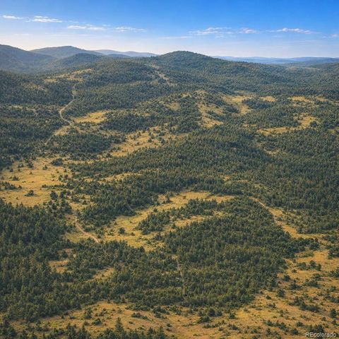 0 Arrowhead Road, Florissant, CO 80816