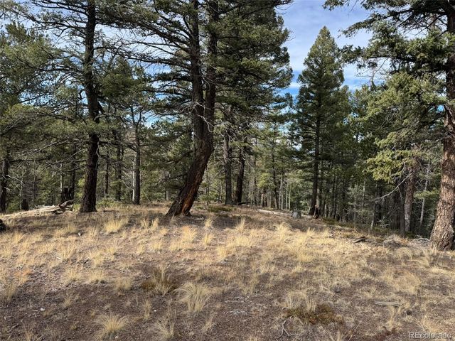 0 Arrowhead Road, Florissant, CO 80816