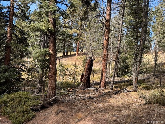0 Arrowhead Road, Florissant, CO 80816
