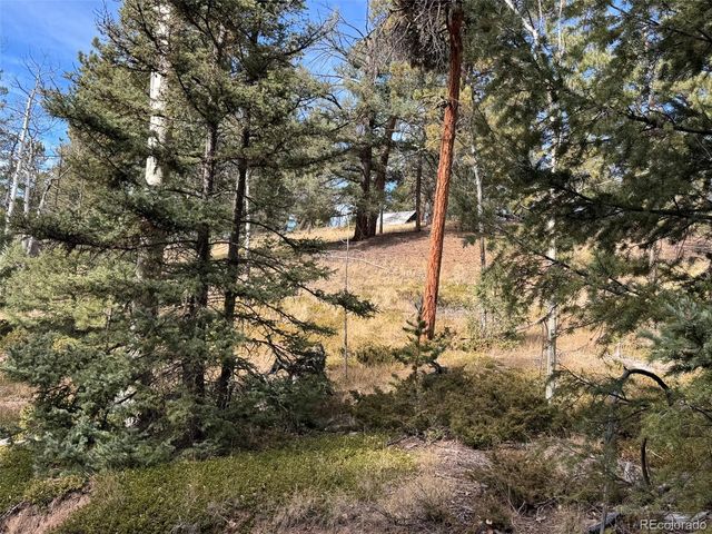 0 Arrowhead Road, Florissant, CO 80816