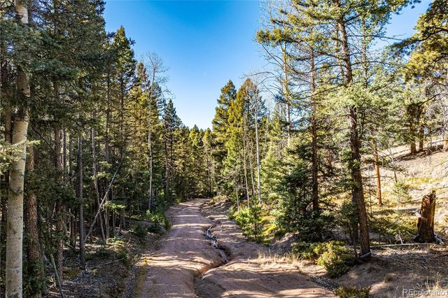 0 Arrowhead Road, Florissant, CO 80816