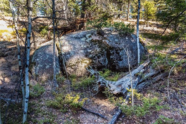 0 Arrowhead Road, Florissant, CO 80816