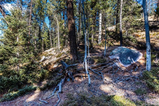 0 Arrowhead Road, Florissant, CO 80816