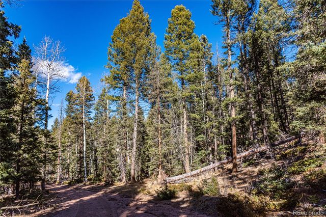 0 Arrowhead Road, Florissant, CO 80816