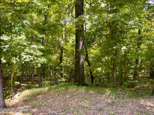 5560 Poplar Corner Road, Walls, MS 38680
