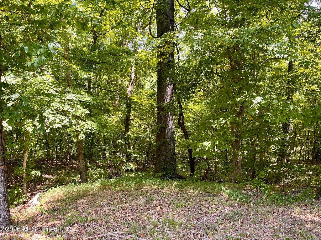 5560 Poplar Corner Road, Walls, MS 38680 — photo 4