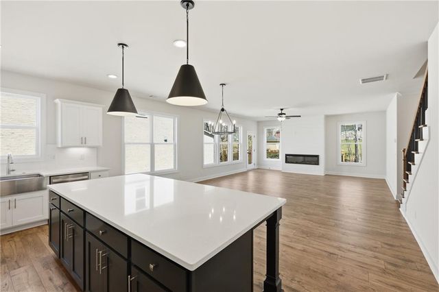 110 POPLAR, Buford, GA 30518