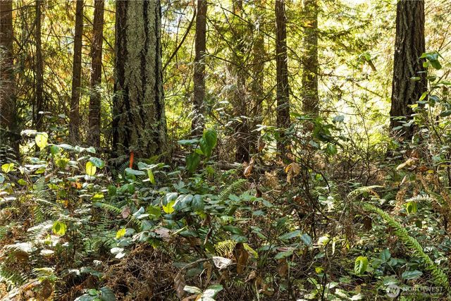 15630 Agatewood Road NE, Bainbridge Island, WA 98110