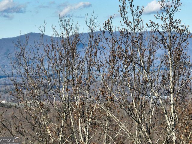 281 Andes Ridge, Ellijay, GA 30536