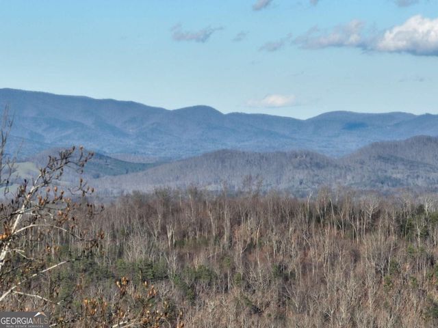 281 Andes Ridge, Ellijay, GA 30536