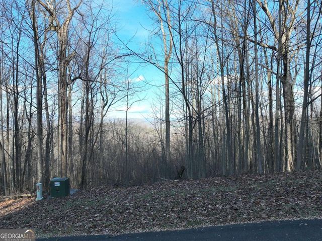 281 Andes Ridge, Ellijay, GA 30536