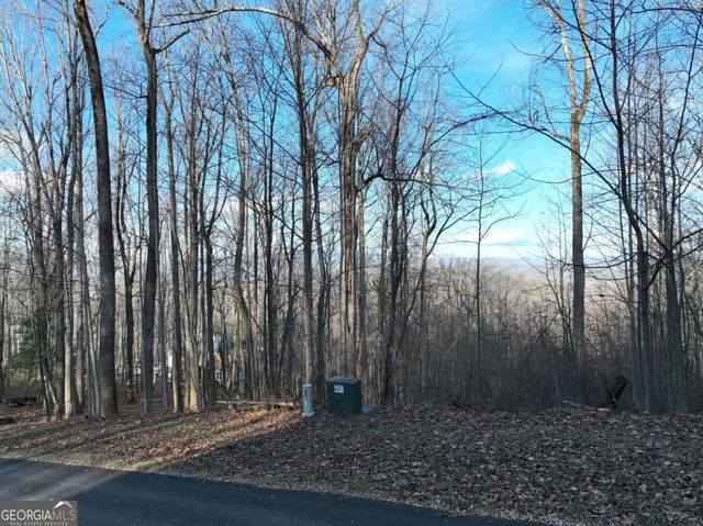 281 Andes Ridge, Ellijay, GA 30536