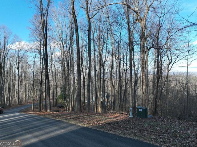 281 Andes Ridge, Ellijay, GA 30536