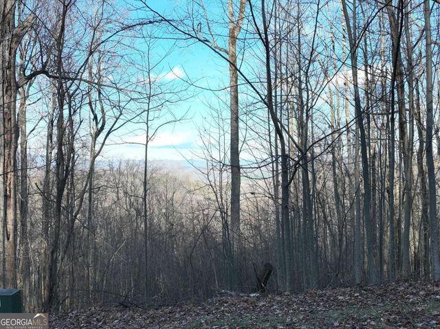 281 Andes Ridge, Ellijay, GA 30536