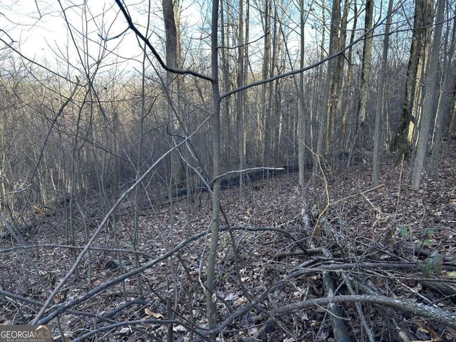 281 Andes Ridge, Ellijay, GA 30536