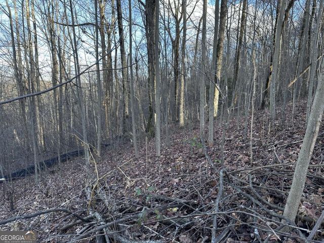 281 Andes Ridge, Ellijay, GA 30536