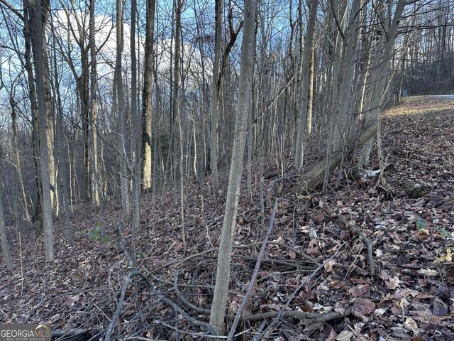 281 Andes Ridge, Ellijay, GA 30536