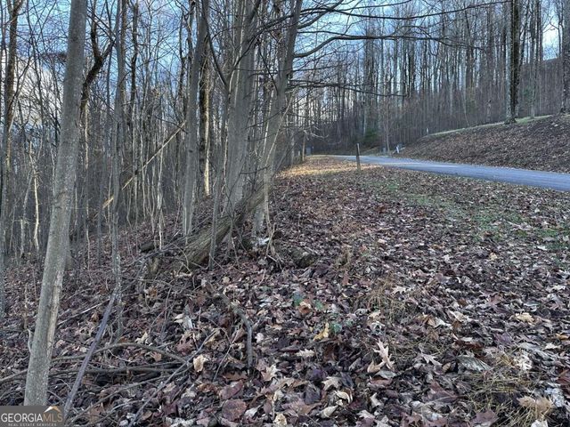 281 Andes Ridge, Ellijay, GA 30536