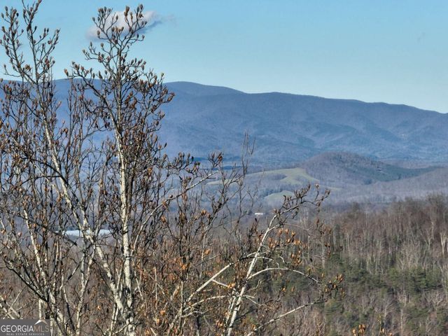 281 Andes Ridge, Ellijay, GA 30536