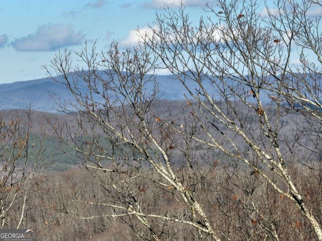 281 Andes Ridge, Ellijay, GA 30536