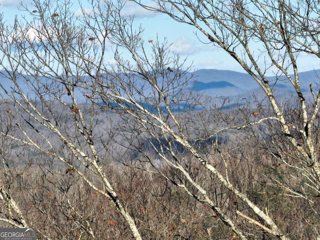 281 Andes Ridge, Ellijay, GA 30536