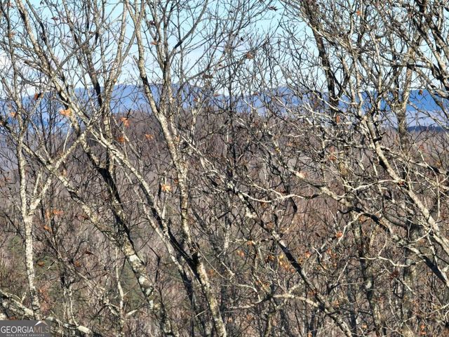 281 Andes Ridge, Ellijay, GA 30536