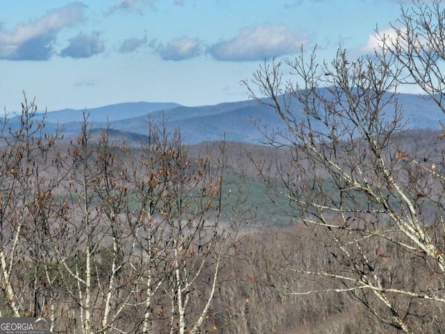 281 Andes Ridge, Ellijay, GA 30536