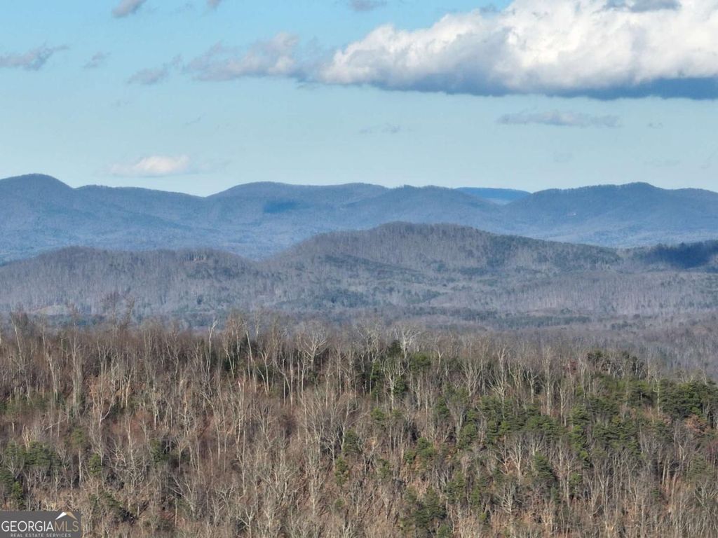 281 Andes Ridge, Ellijay, GA 30536