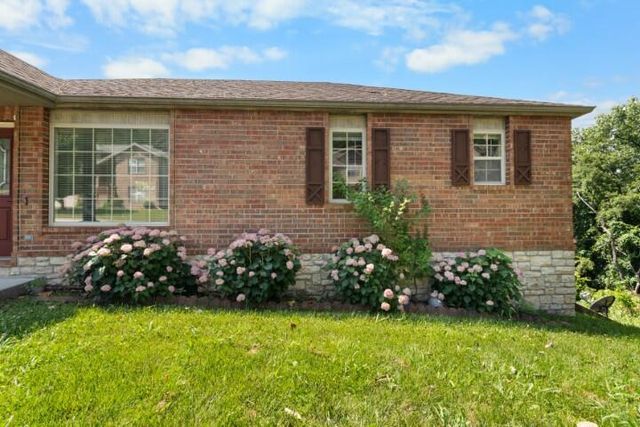223 Roundhill Road, Branson, MO 65616