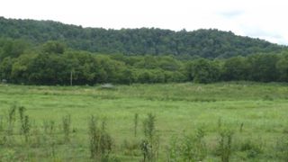 146 Copeland Ln, Celina, TN 38551