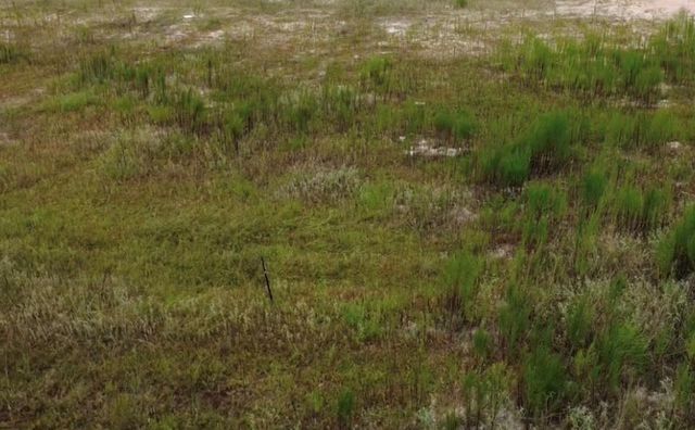 826 Road 591703, Cleveland, TX 77327