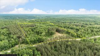 335 Bear Hollow Drive, Waverly, TN 37185