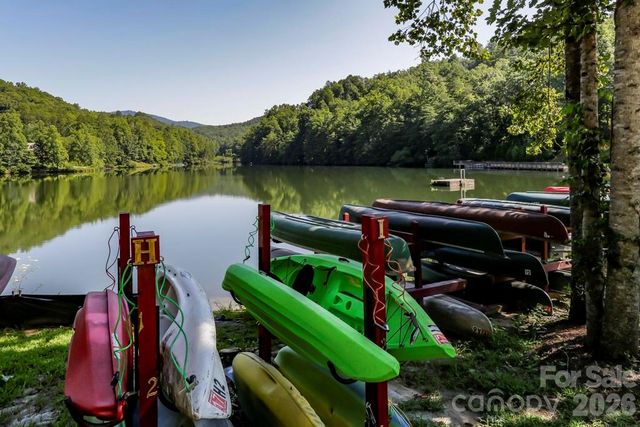 450 Starling Road, Lake Lure, NC 28746